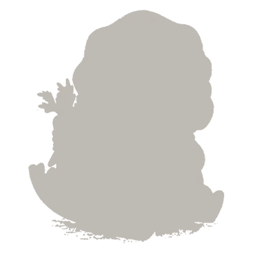 未收集