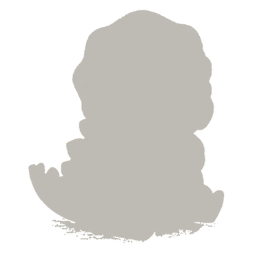 未收集