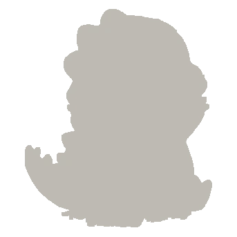 未收集
